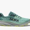 Women * | Challenger Atr 7 Shoes For Women Hoka Fire Sale Mist Green/ Trellis